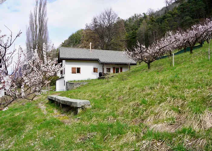 Maisonnette De Campagne